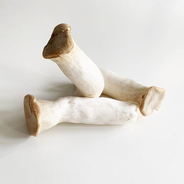 king oyster mushroom - nam dui ga