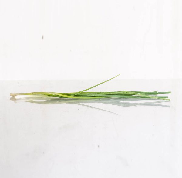 spring onion - hanh la