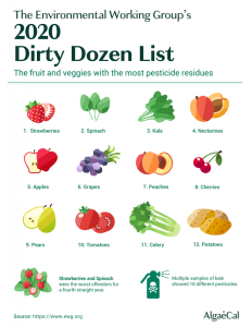 The Dirty Dozen