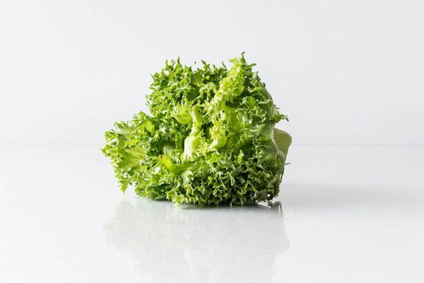 All-natural Crispinet Lettuce - xa lach thuy tinh