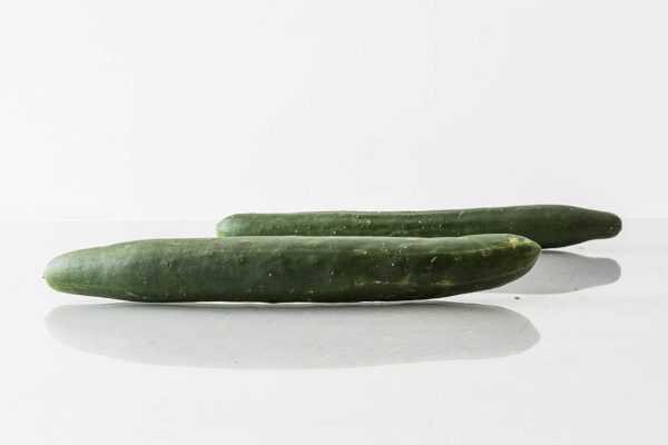 Japanese cucumber - dua leo nhat