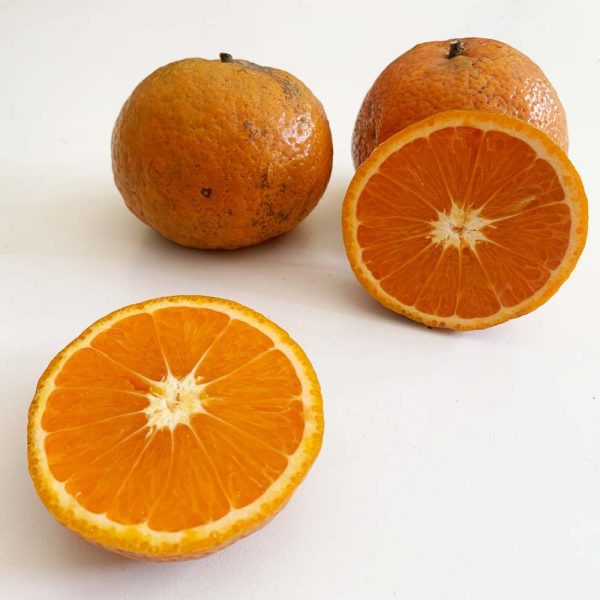 oranges - cam ham yen