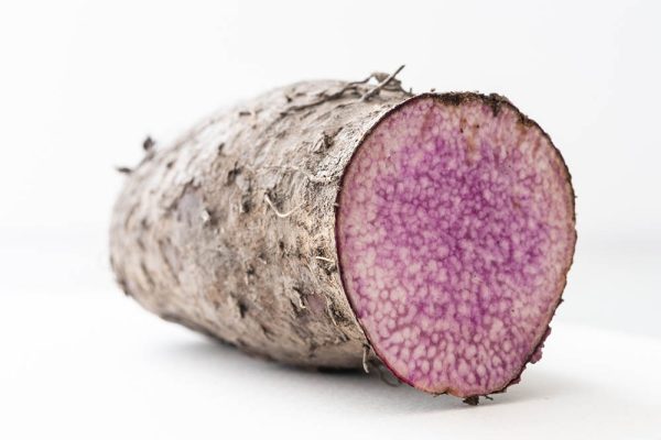 purple yam - khoai tim