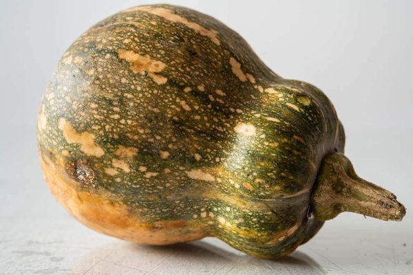 squash - bi do