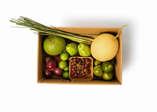 The Fresh Pick Fruit Box (New Every Week) - ByNature