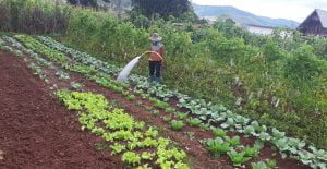 bynature-the-organic-farming-journey-chang-duong-lam-nong-nghiep-huu-co