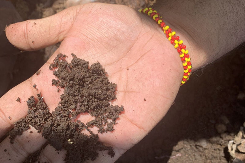 Organic Matter(s) - u phan huu co cho cay trong