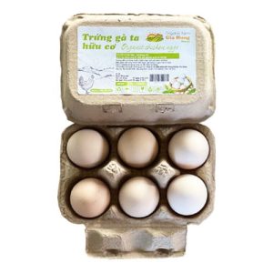 organic free range eggs - trung ga huu co