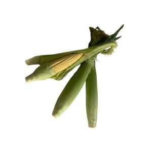 All-natural farm fresh baby corn ByNature